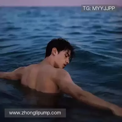 舒舜飚